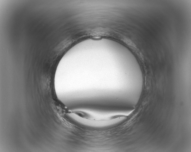 X0000060750201200512011456