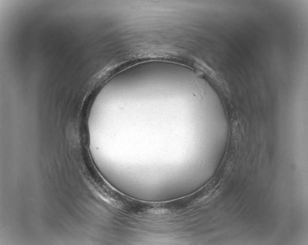 X0000060750203200512011456