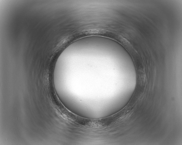 X0000060750207200512011455