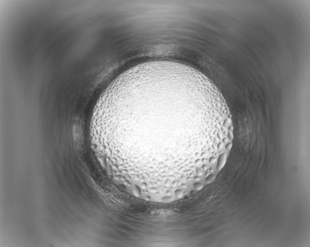 X0000060750208200512011455