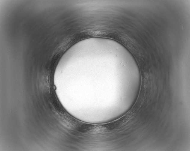 X0000060750210200512011455