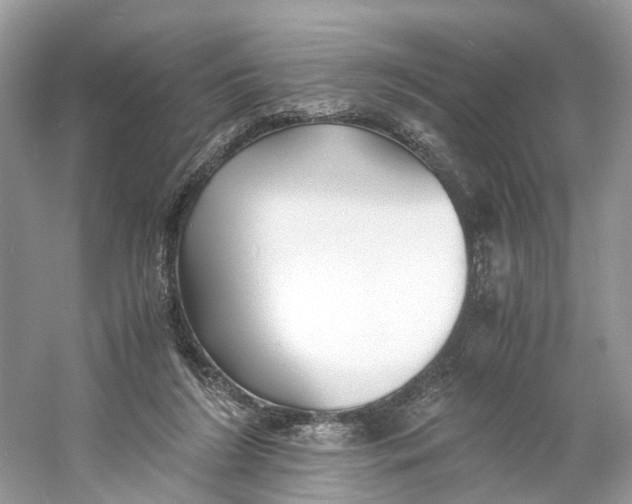 X0000060750212200512011455