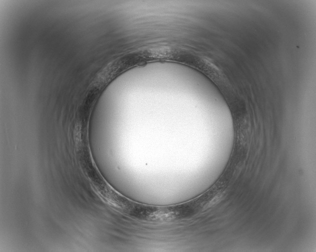 X0000060750213200512011455