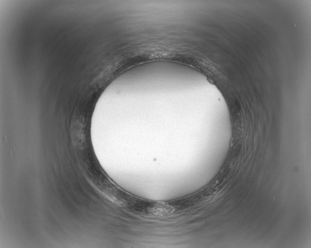 X0000060750215200512011455