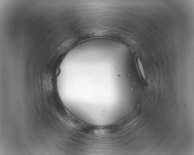 X0000060750216200512011455