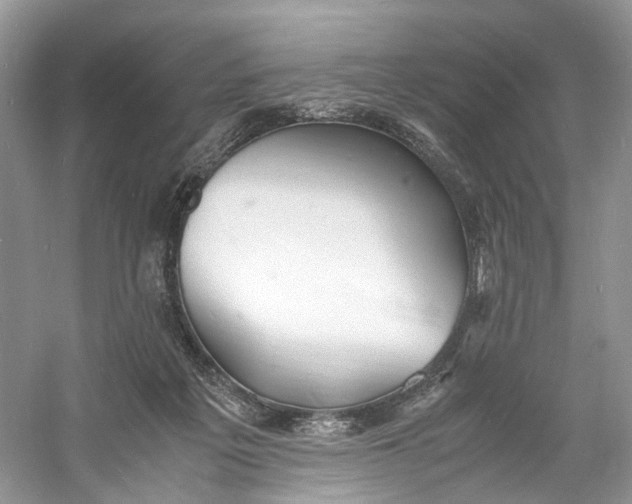 X0000060750217200512011455