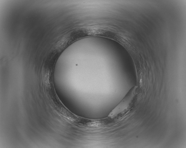 X0000060750219200512011455