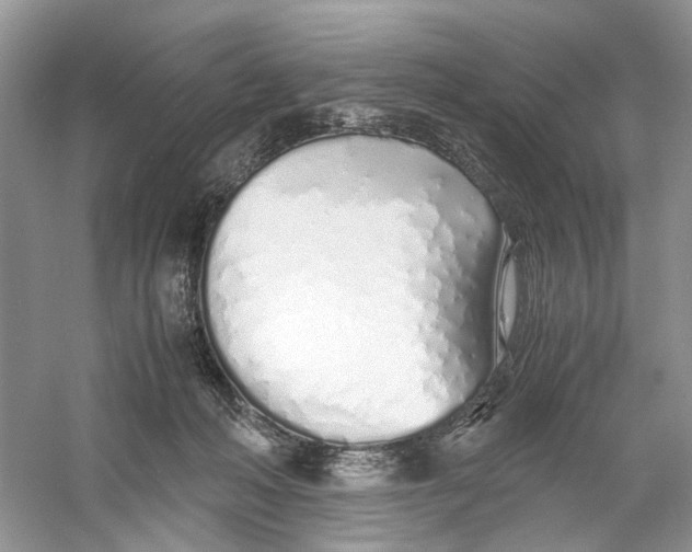 X0000060750222200512011455
