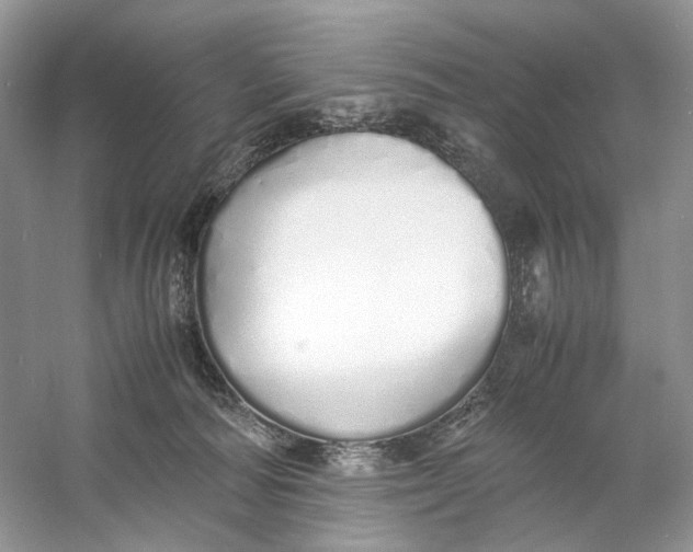 X0000060750226200512011455