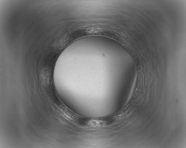 X0000060750227200512011455