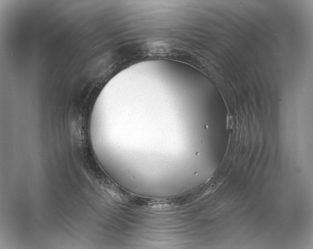 X0000060750228200512011455