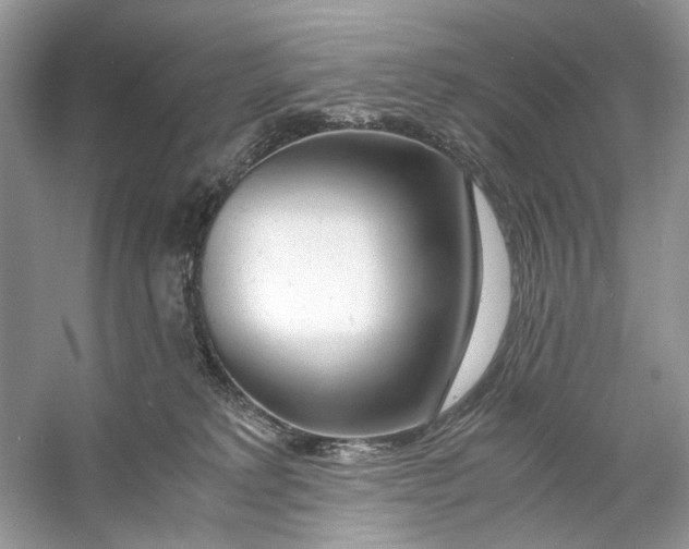 X0000060750229200512011455