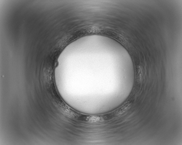 X0000060750230200512011455
