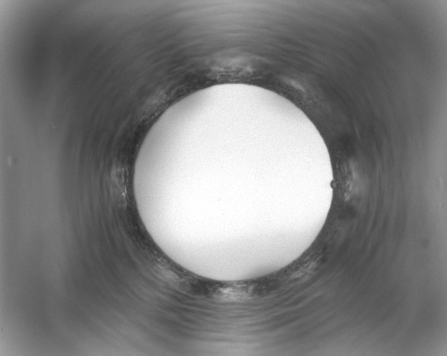 X0000060750232200512011455