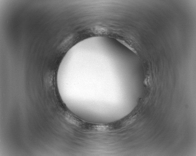 X0000060750233200512011455