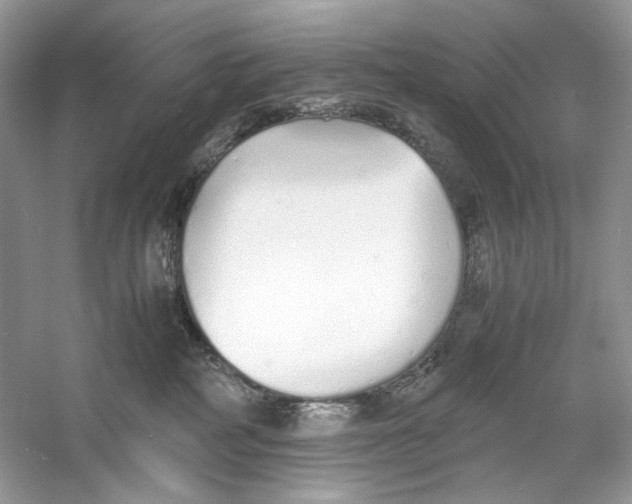 X0000060750234200512011455