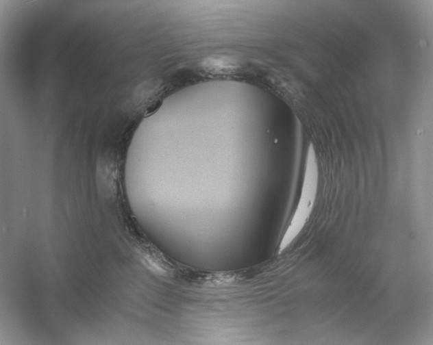 X0000060750235200512011455