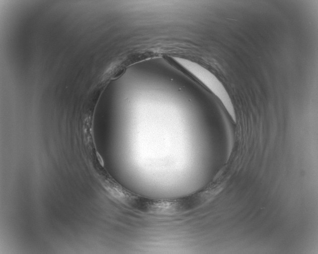 X0000060750237200512011455