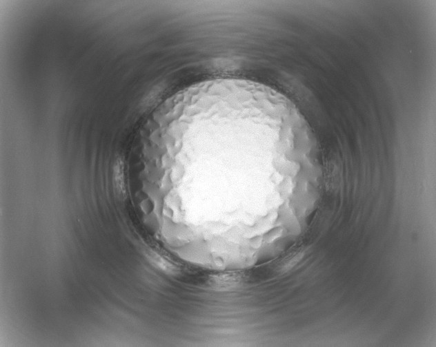 X0000060750238200512011455