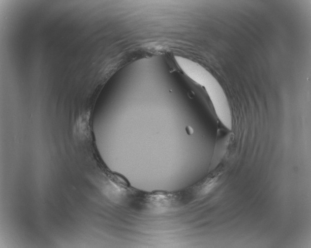 X0000060750239200512011455