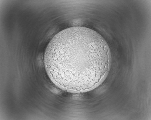 X0000060750240200512011455