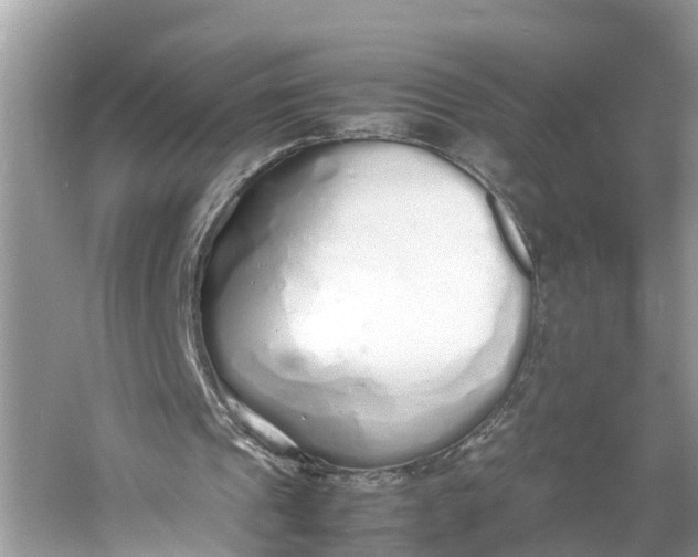X0000060750241200512011454