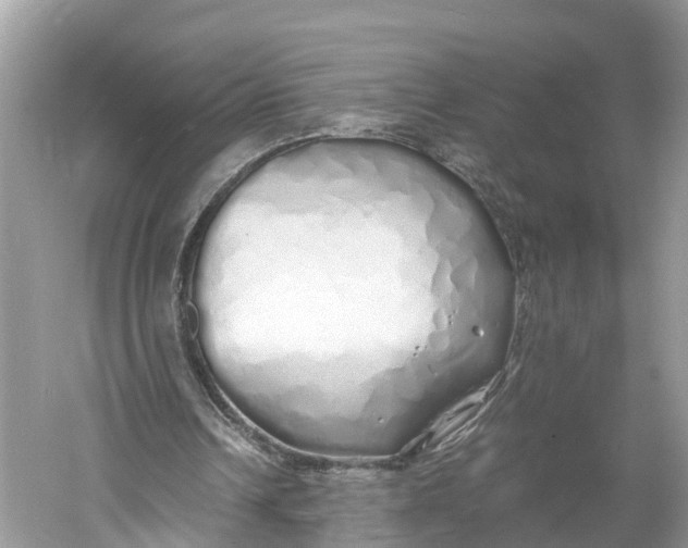 X0000060750242200512011454