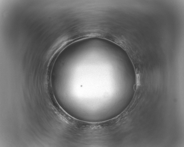 X0000060750243200512011454
