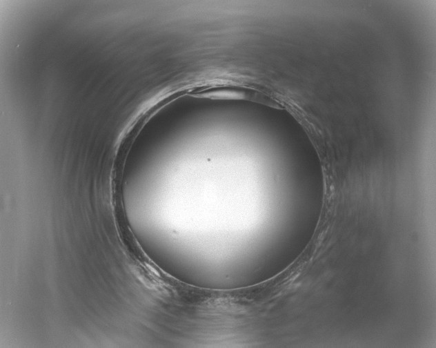 X0000060750244200512011454