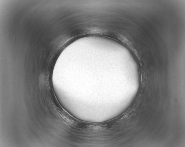 X0000060750249200512011454