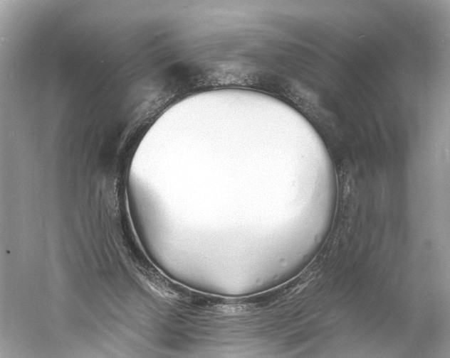 X0000060750250200512011454