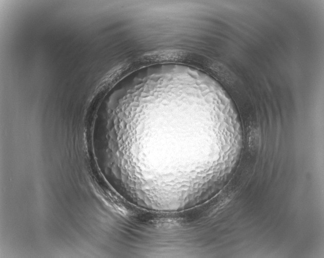 X0000060750254200512011454