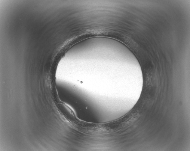 X0000060750256200512011454