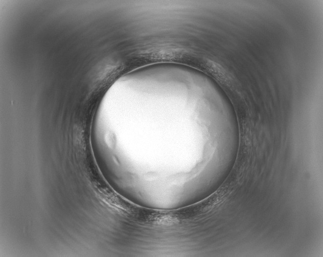 X0000060750258200512011454