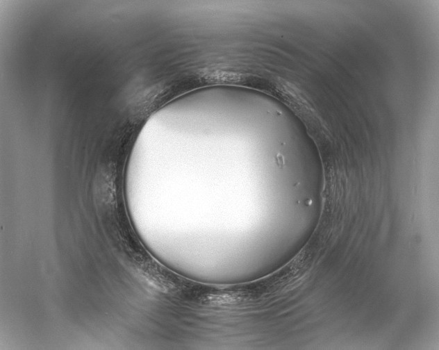 X0000060750259200512011454