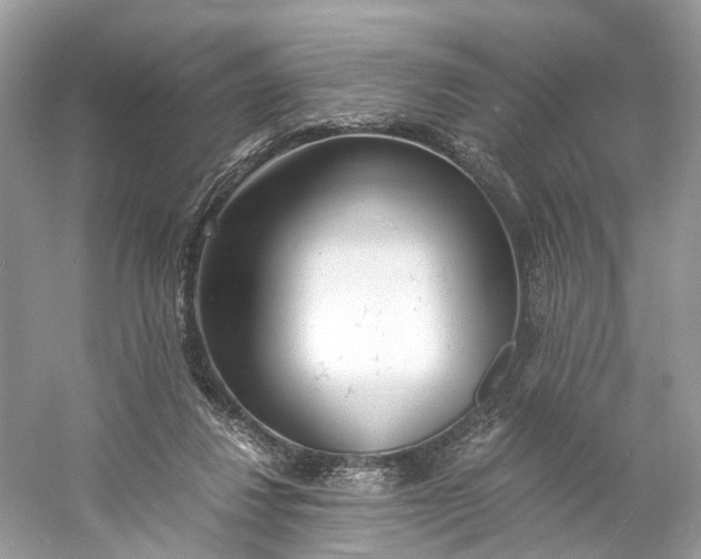 X0000060750260200512011454
