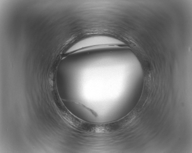 X0000060750264200512011454