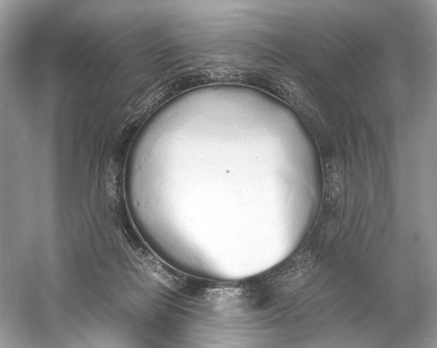 X0000060750266200512011455