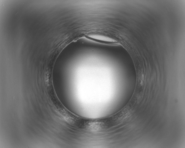 X0000060750268200512011455