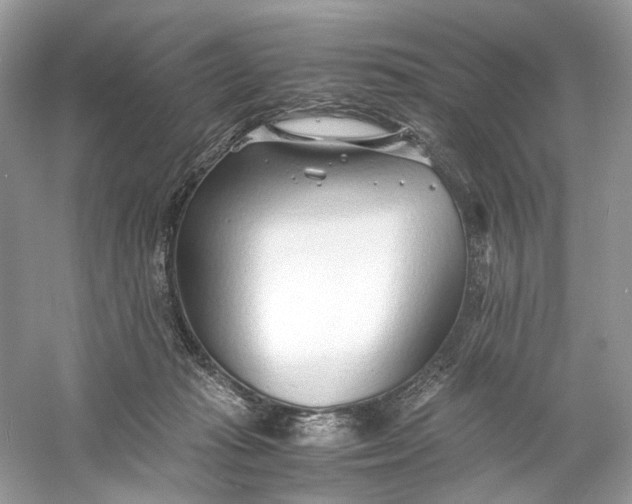 X0000060750269200512011455