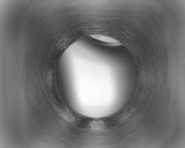 X0000060750271200512011455