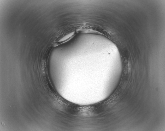 X0000060750273200512011455