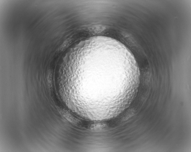 X0000060750274200512011455