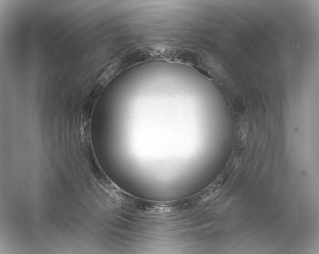 X0000060750276200512011455