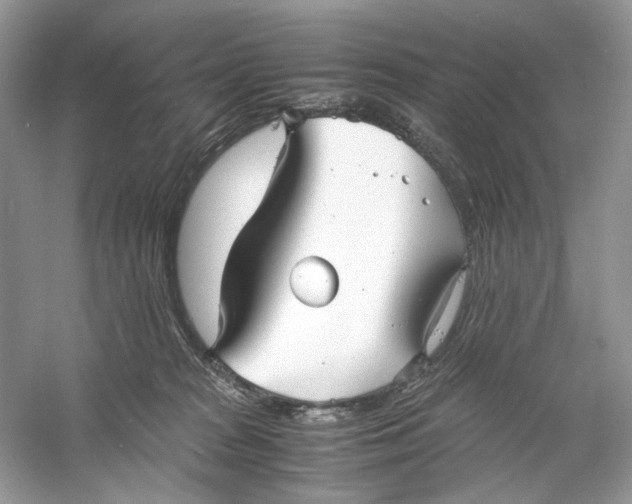 X0000060750277200512011455