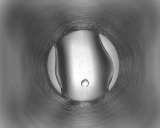 X0000060750278200512011455