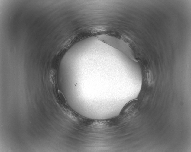 X0000060750280200512011455