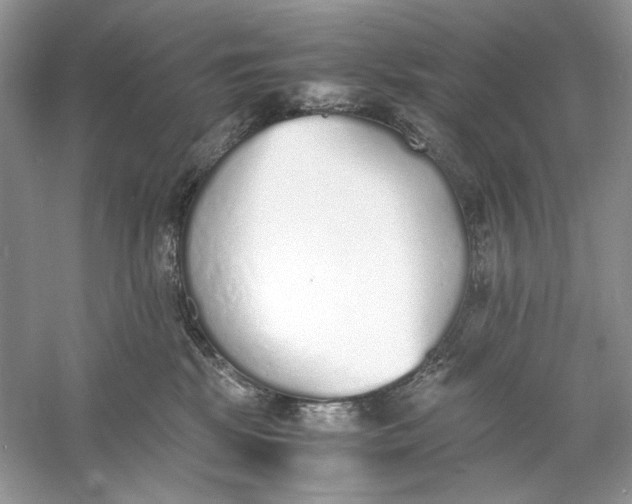 X0000060750281200512011455
