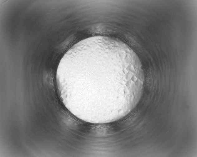 X0000060750282200512011455