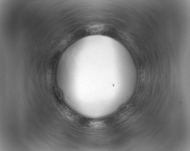 X0000060750283200512011455